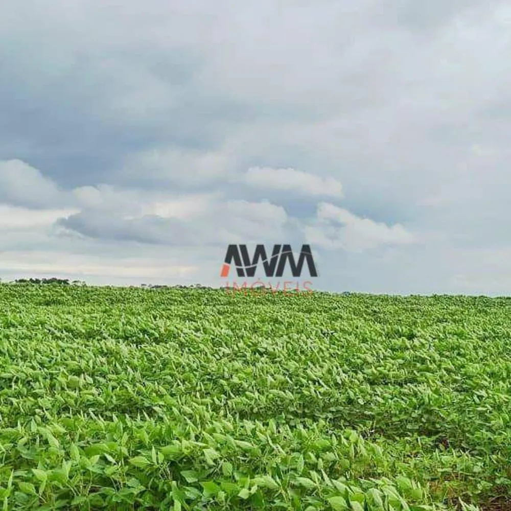 Fazenda, 4356 hectares - Foto 6