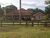 Fazenda, 1077 hectares - Foto 1