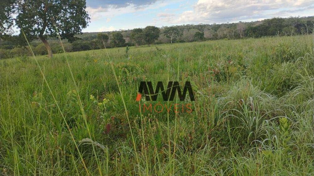 Fazenda à venda com 3 quartos, 1330000M2 - Foto 1