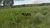 Fazenda, 133 hectares - Foto 1