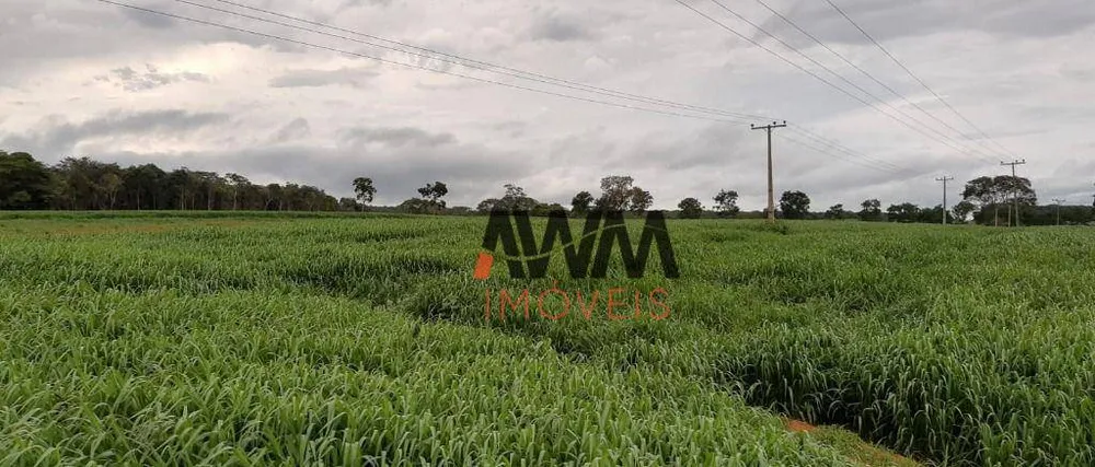 Fazenda, 73 hectares - Foto 2