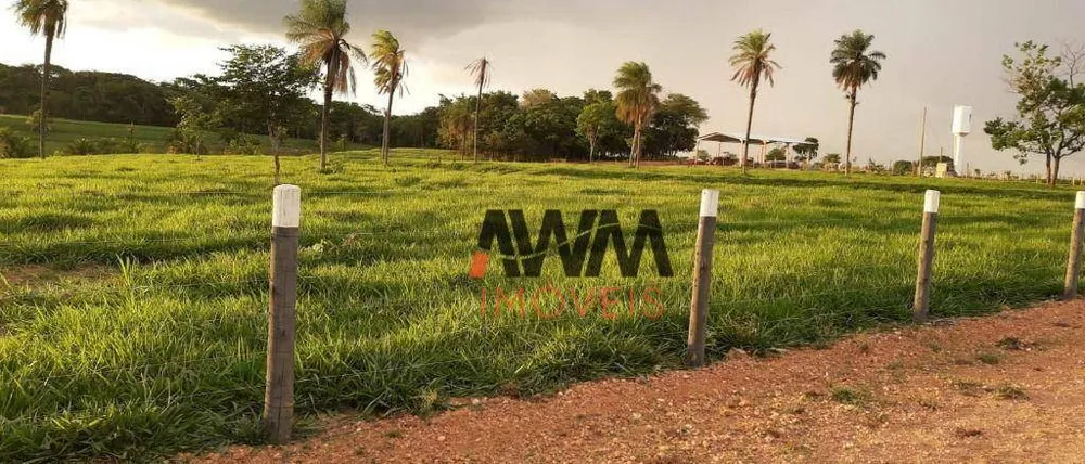 Fazenda, 73 hectares - Foto 12