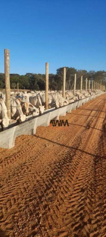 Fazenda, 73 hectares - Foto 16
