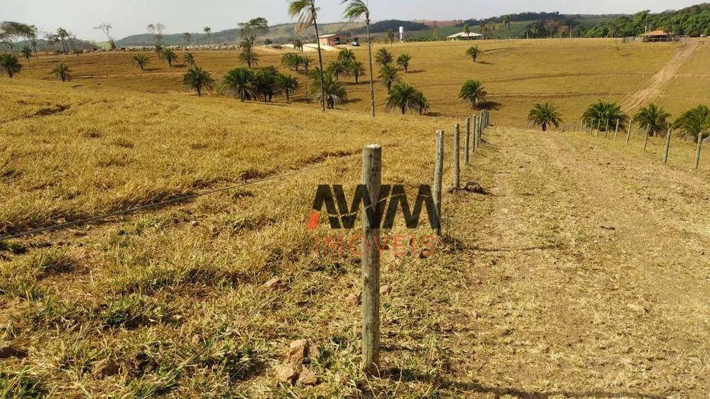 Fazenda, 73 hectares - Foto 3