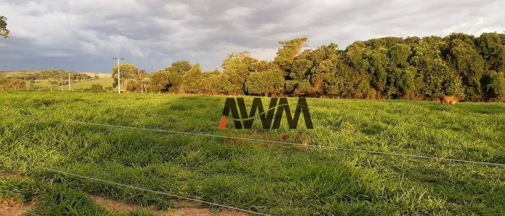 Fazenda, 73 hectares - Foto 9