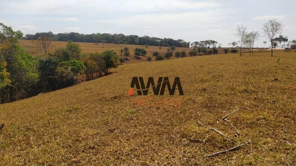 Fazenda, 73 hectares - Foto 8