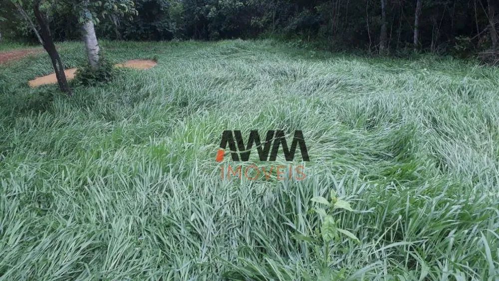Fazenda, 73 hectares - Foto 10