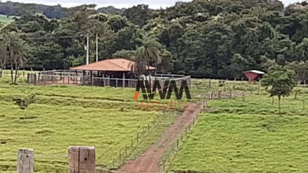 Fazenda, 73 hectares - Foto 6