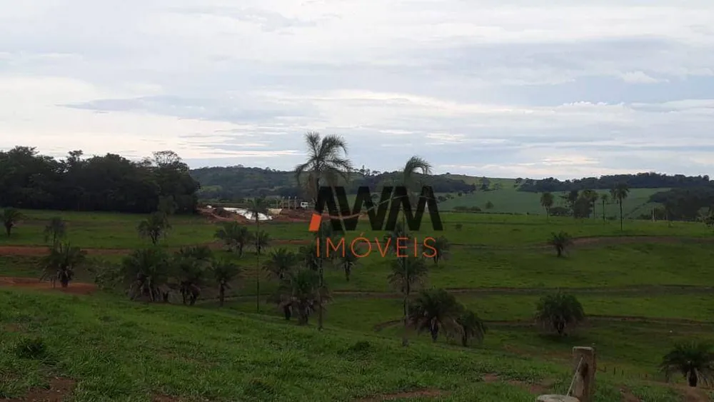 Fazenda, 73 hectares - Foto 7