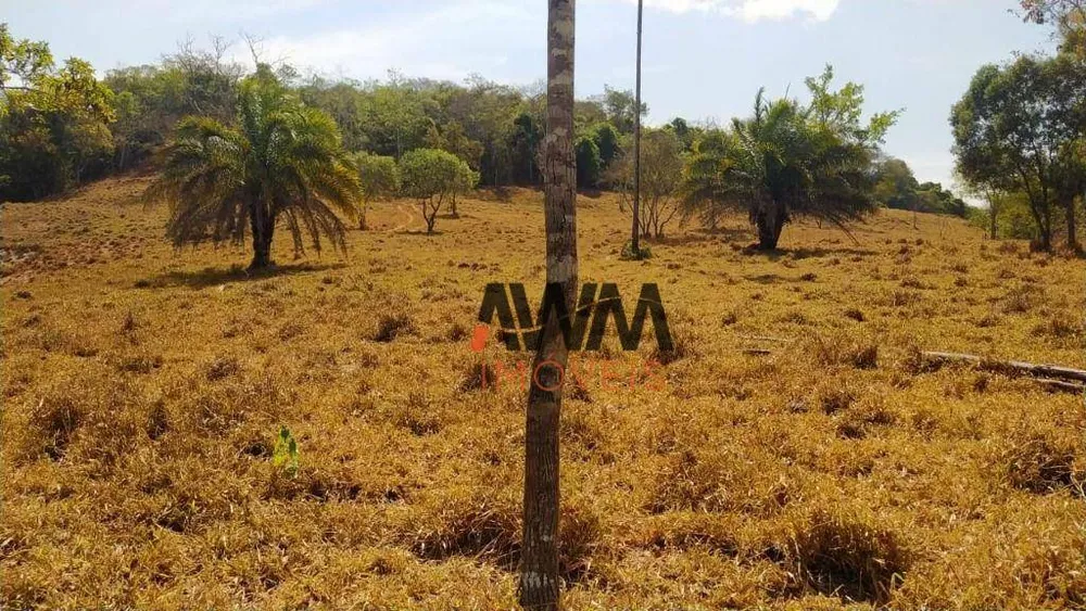 Fazenda, 73 hectares - Foto 14