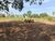 Fazenda-Sítio-Chácara, 1462 hectares - Foto 1