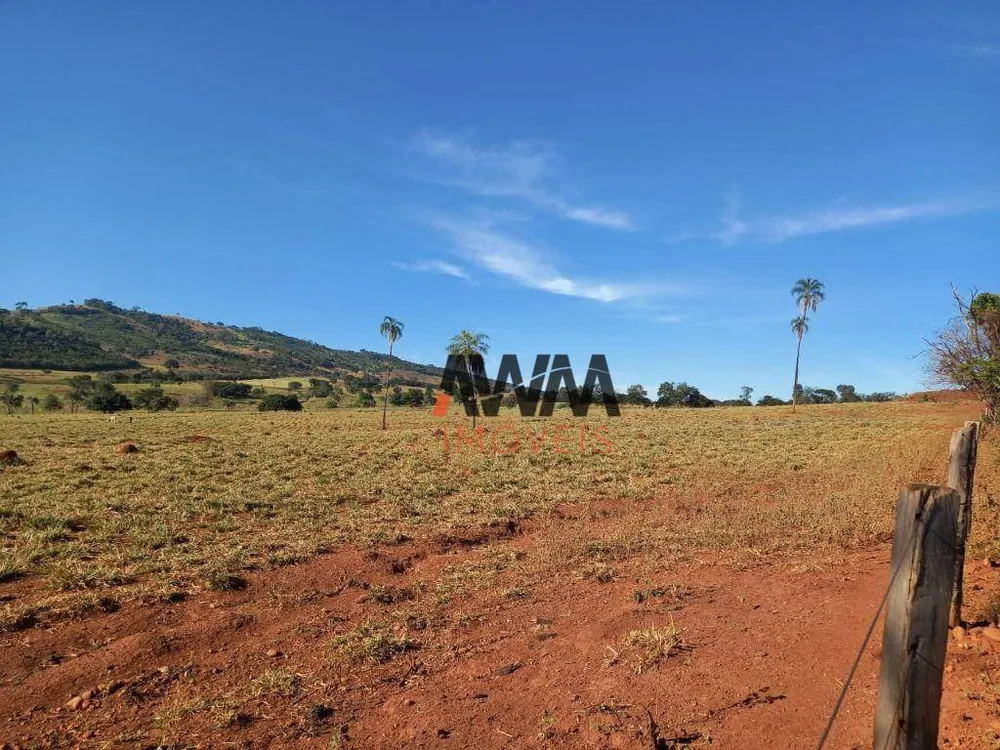Fazenda, 1210 hectares - Foto 6