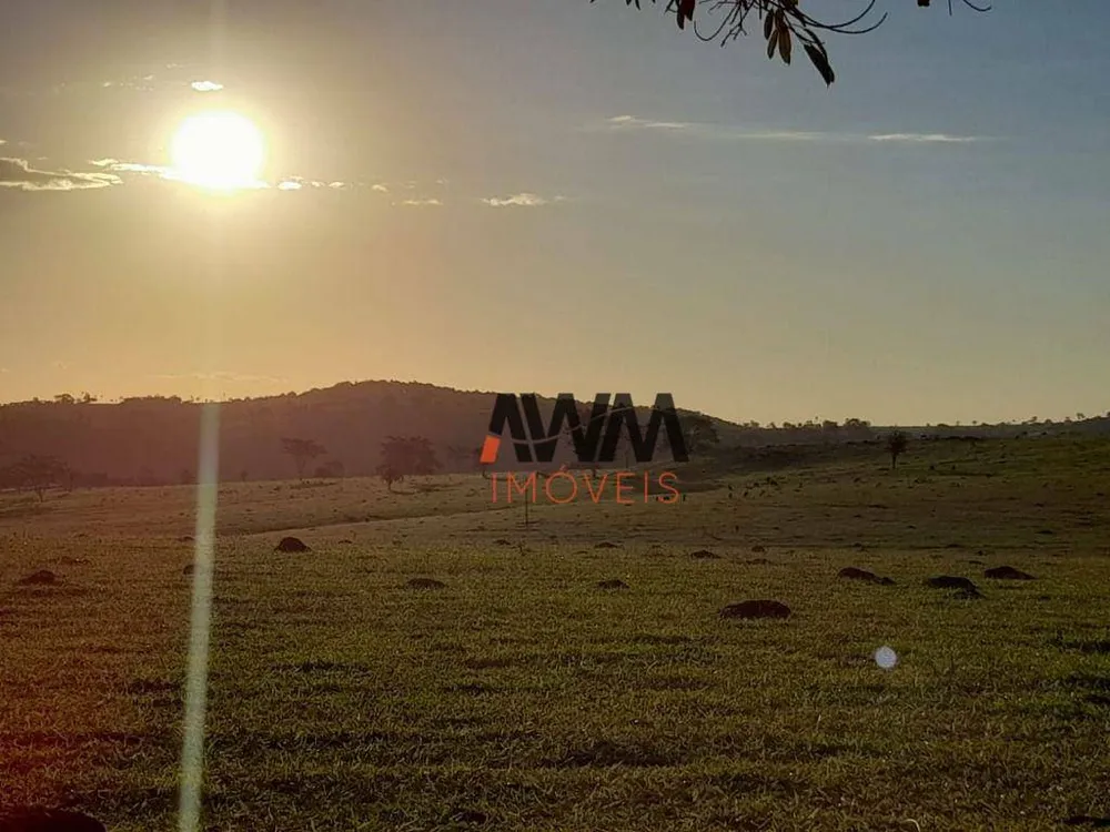 Fazenda, 1210 hectares - Foto 9