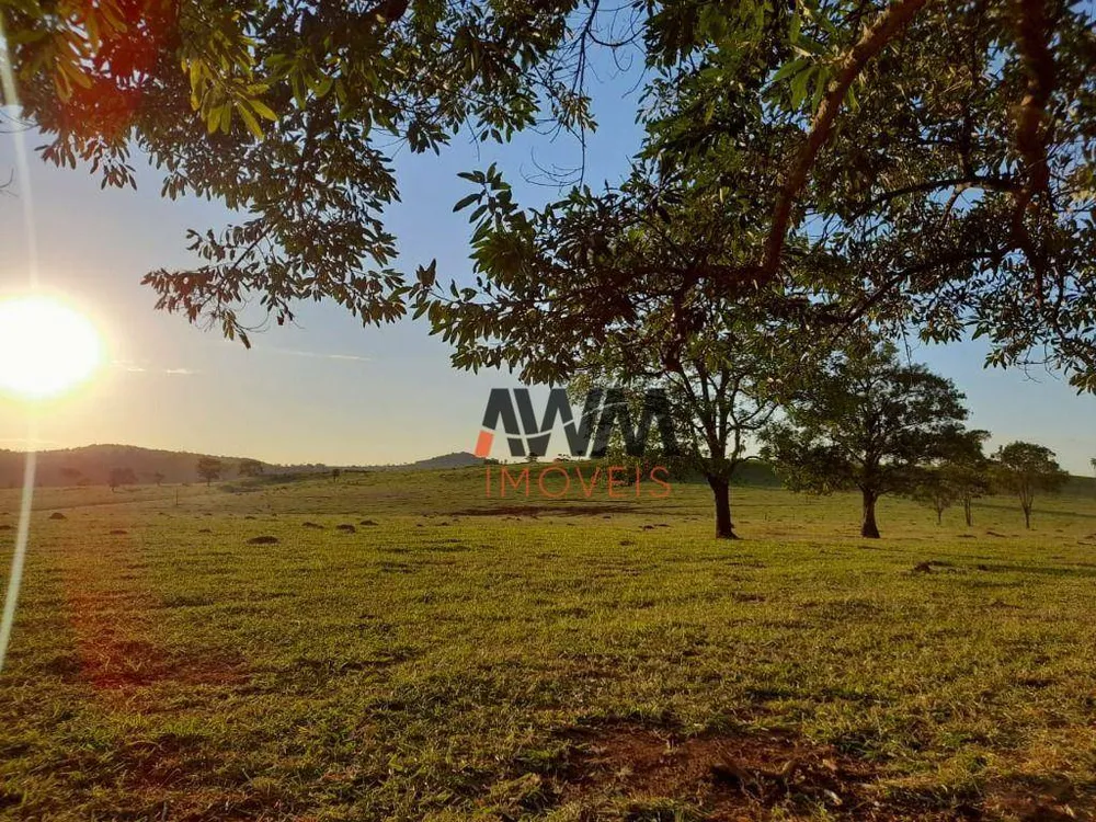 Fazenda, 1210 hectares - Foto 3