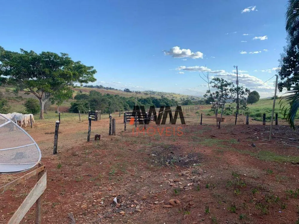 Fazenda, 1210 hectares - Foto 12
