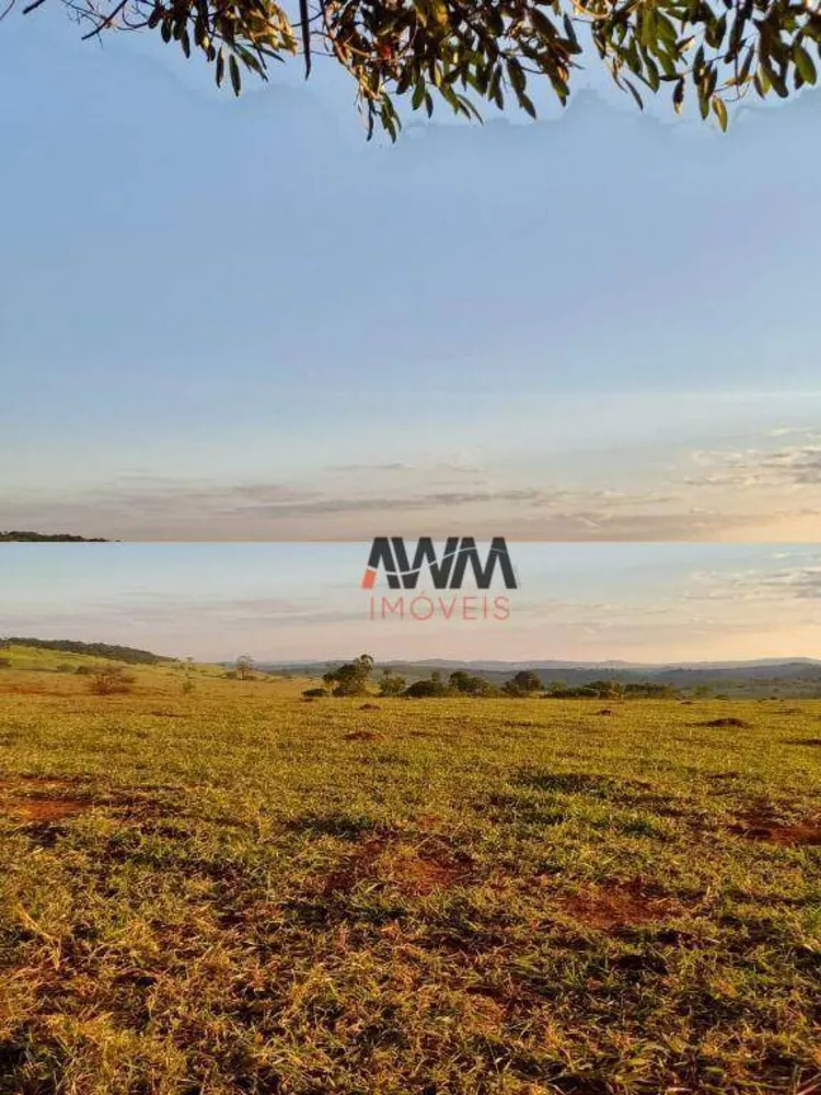 Fazenda, 1210 hectares - Foto 7