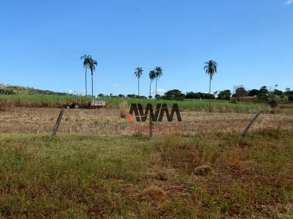 Fazenda, 1210 hectares - Foto 4