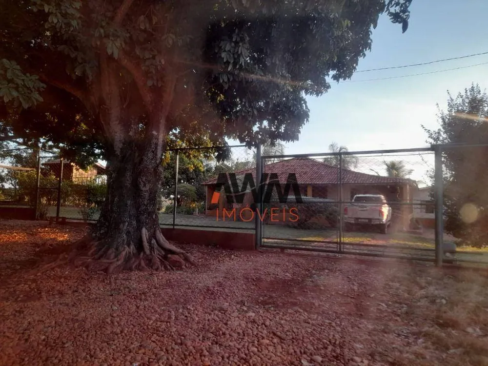 Fazenda, 1210 hectares - Foto 11