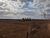 Fazenda, 213 hectares - Foto 2