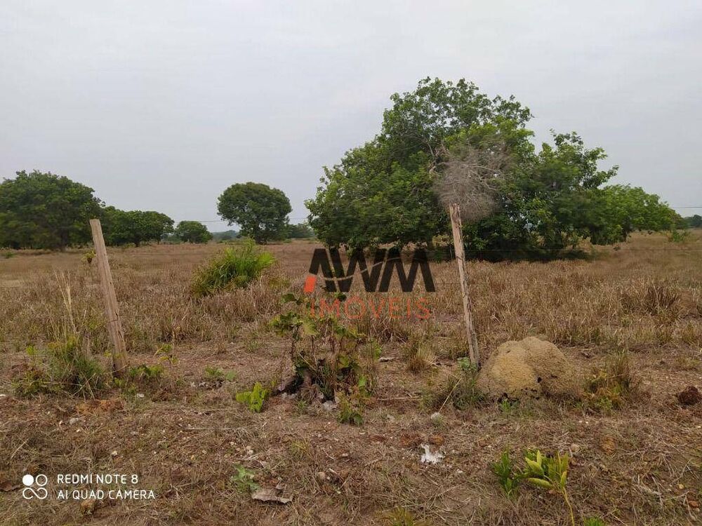 Fazenda, 687 hectares - Foto 1