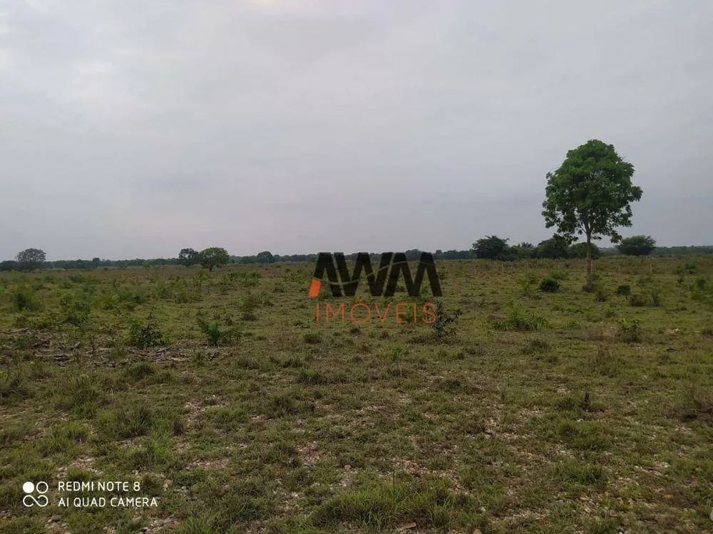 Fazenda, 687 hectares - Foto 8