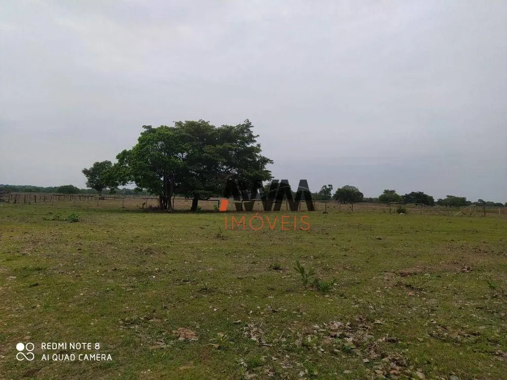 Fazenda, 687 hectares - Foto 3