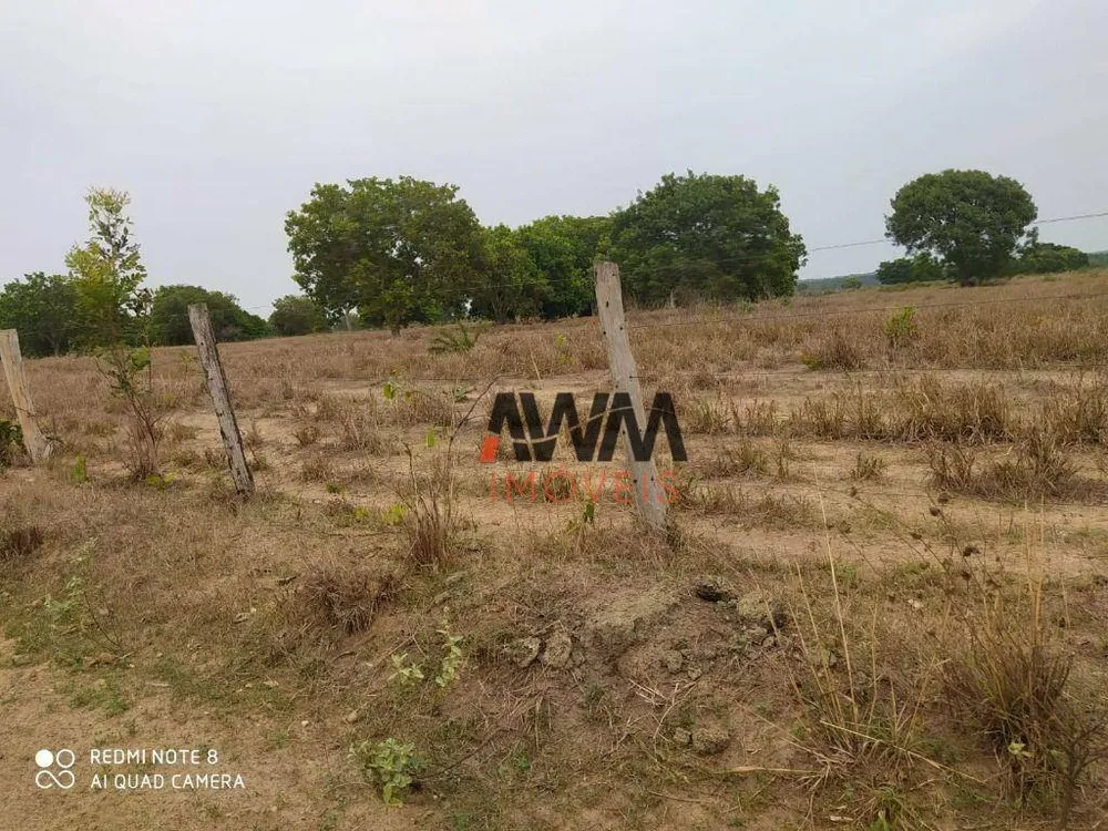 Fazenda, 687 hectares - Foto 2