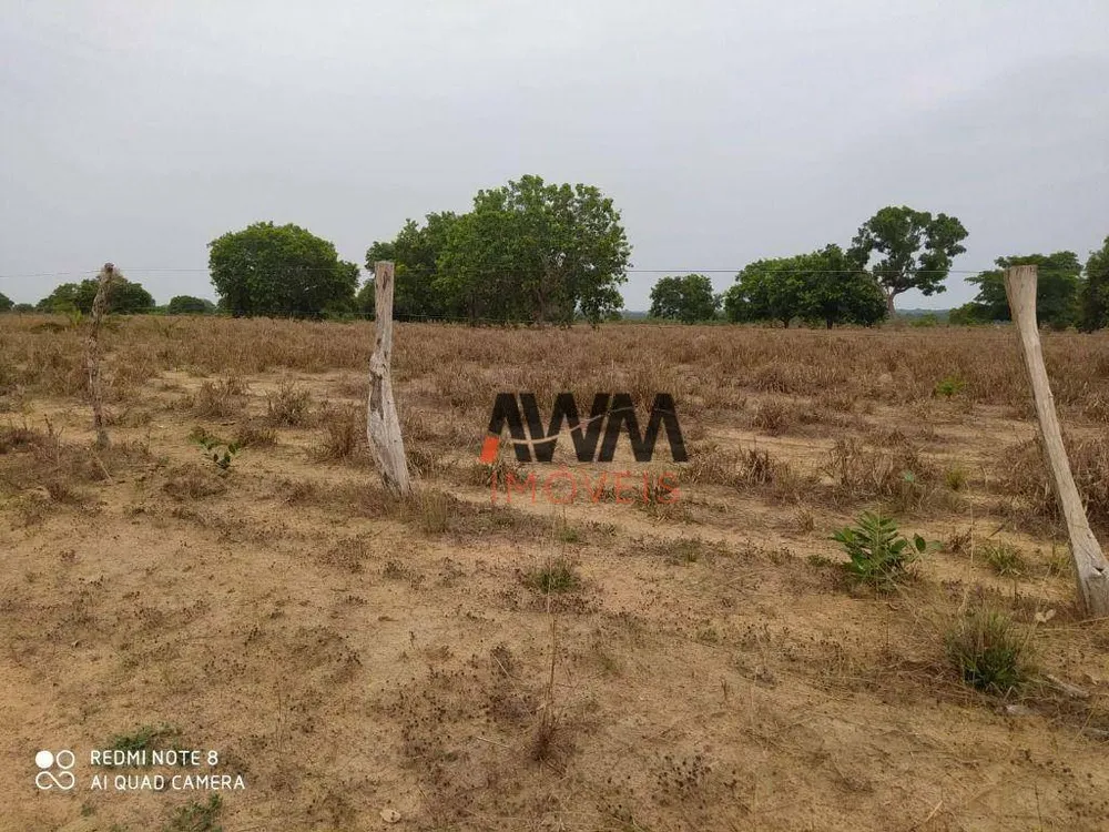 Fazenda, 687 hectares - Foto 4