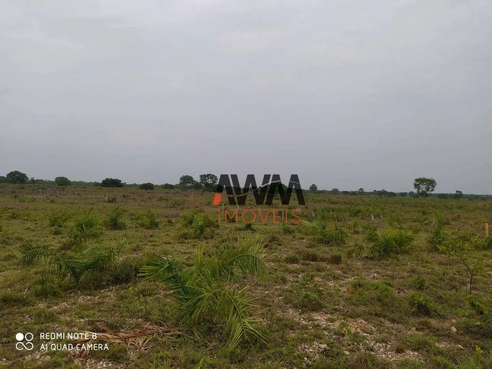 Fazenda, 687 hectares - Foto 11