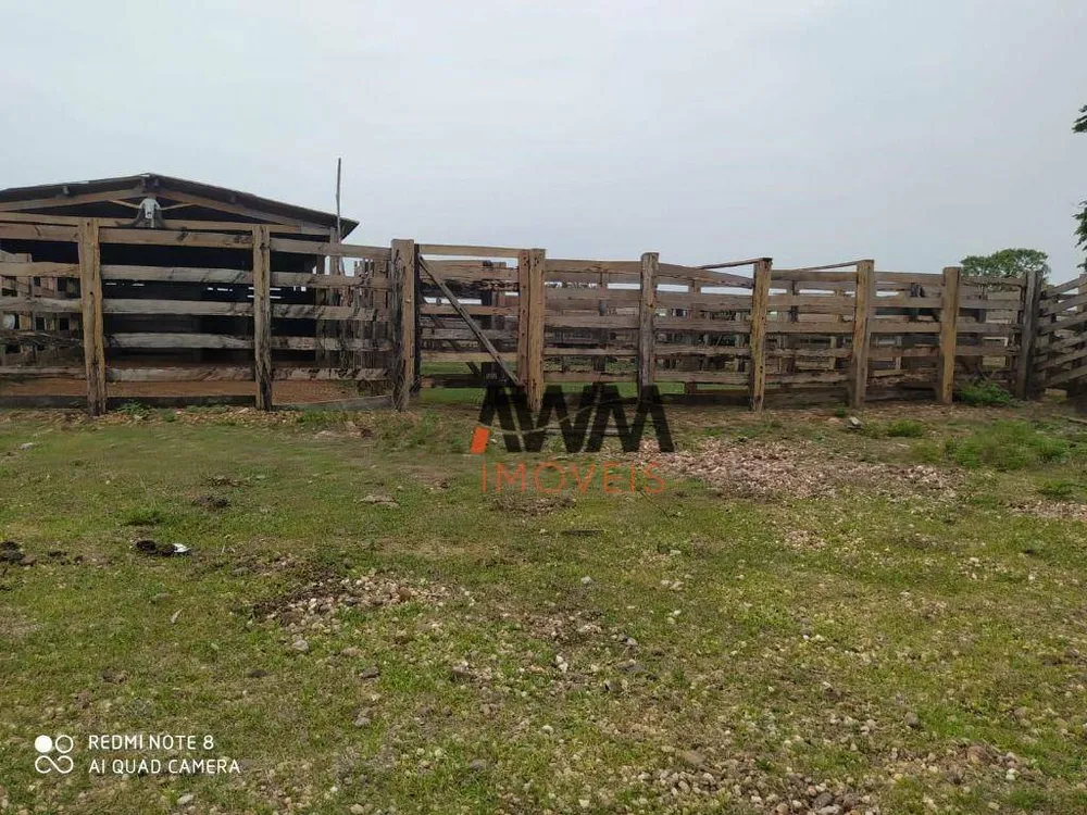 Fazenda, 687 hectares - Foto 1