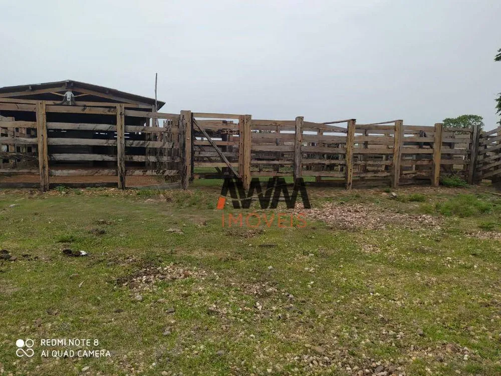 Fazenda, 687 hectares - Foto 6