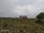 Fazenda-Sítio-Chácara, 687 hectares - Foto 4