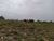 Fazenda-Sítio-Chácara, 687 hectares - Foto 3