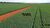 Fazenda-Sítio-Chácara, 707 hectares - Foto 1