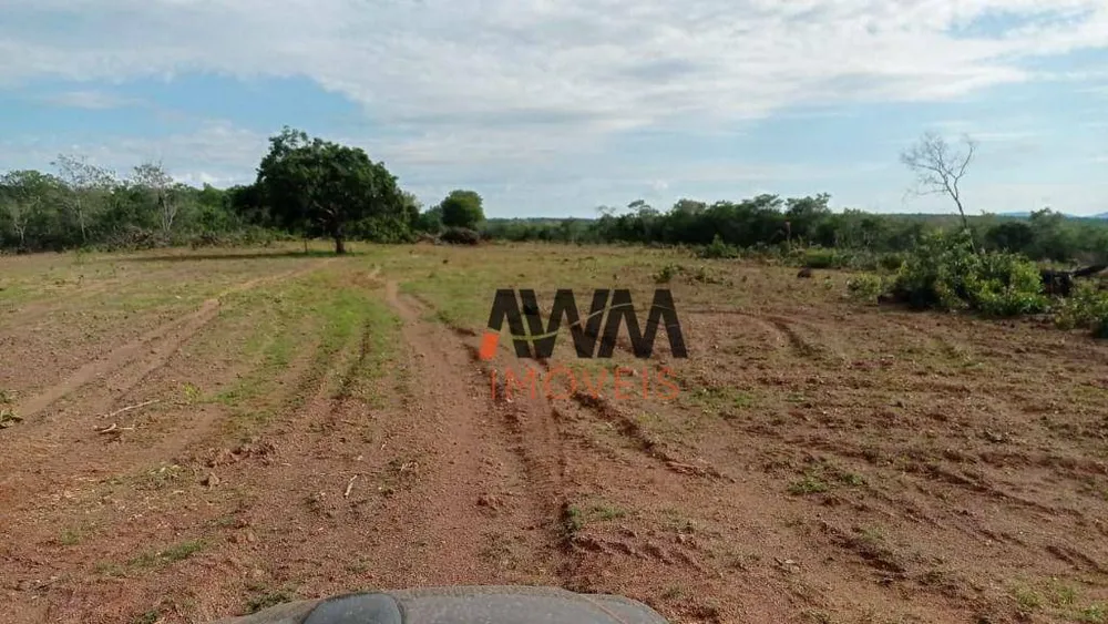 Fazenda, 876 hectares - Foto 6