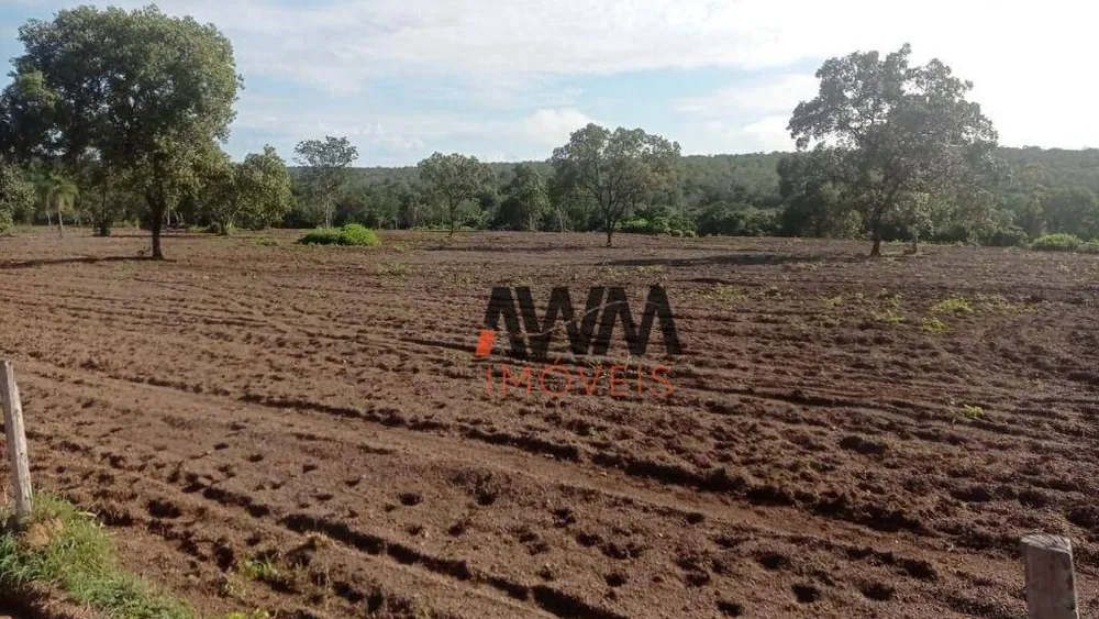 Fazenda, 876 hectares - Foto 12