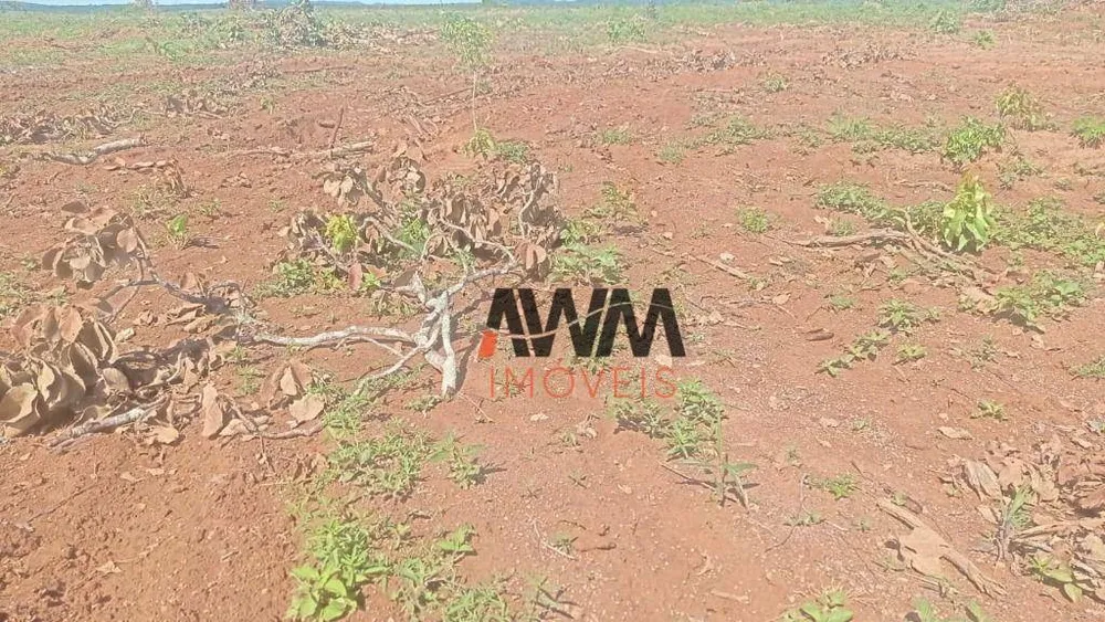 Fazenda, 876 hectares - Foto 3