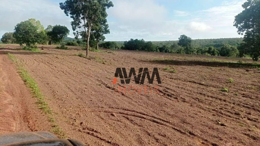 Fazenda, 876 hectares - Foto 8