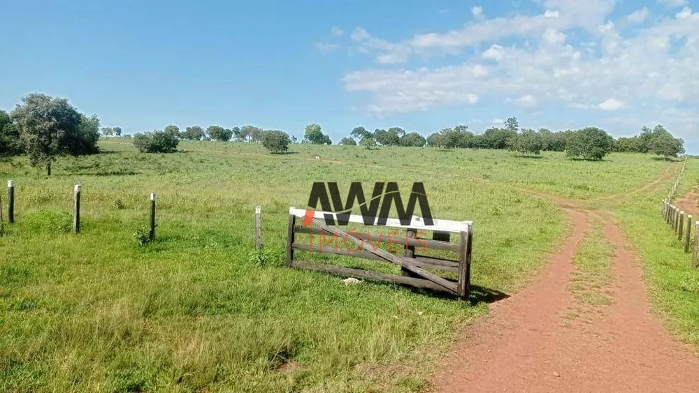 Fazenda, 876 hectares - Foto 5