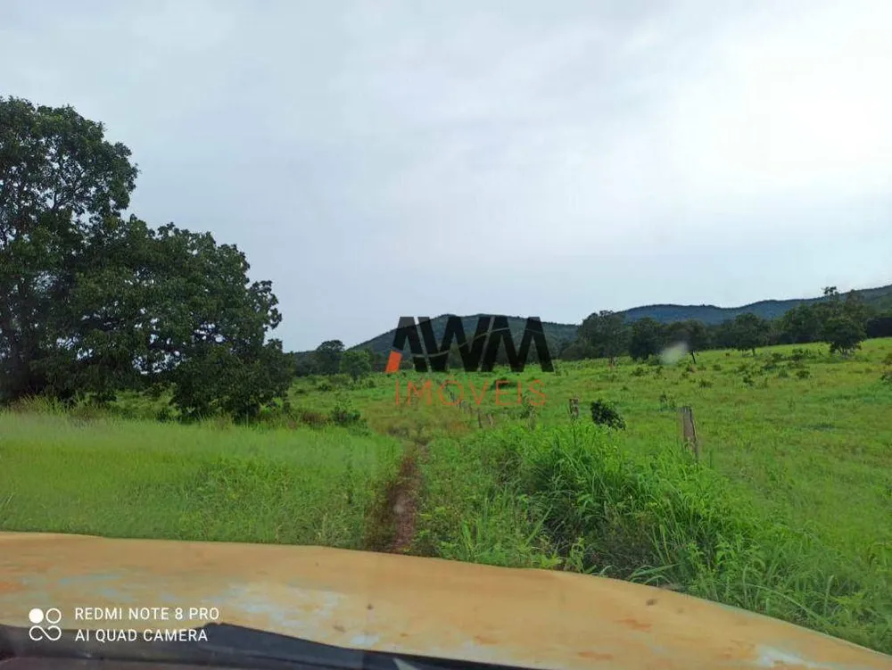 Fazenda, 876 hectares - Foto 10