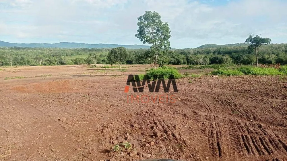 Fazenda, 876 hectares - Foto 9