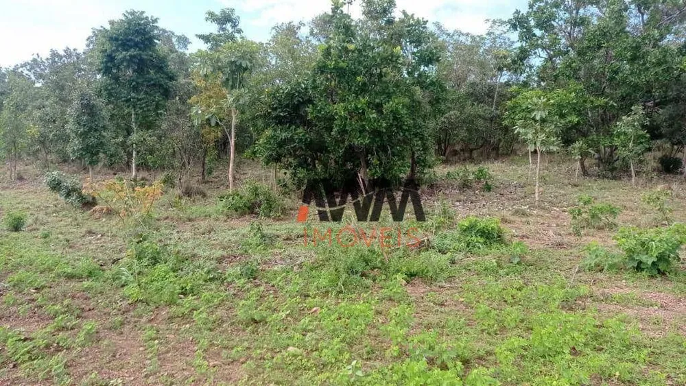 Fazenda, 876 hectares - Foto 11