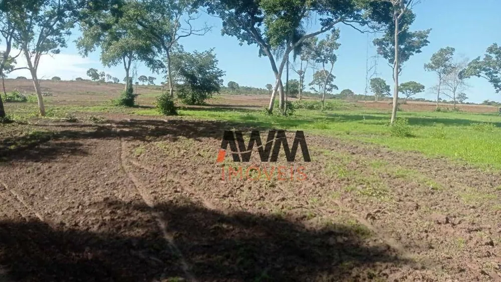 Fazenda, 876 hectares - Foto 4