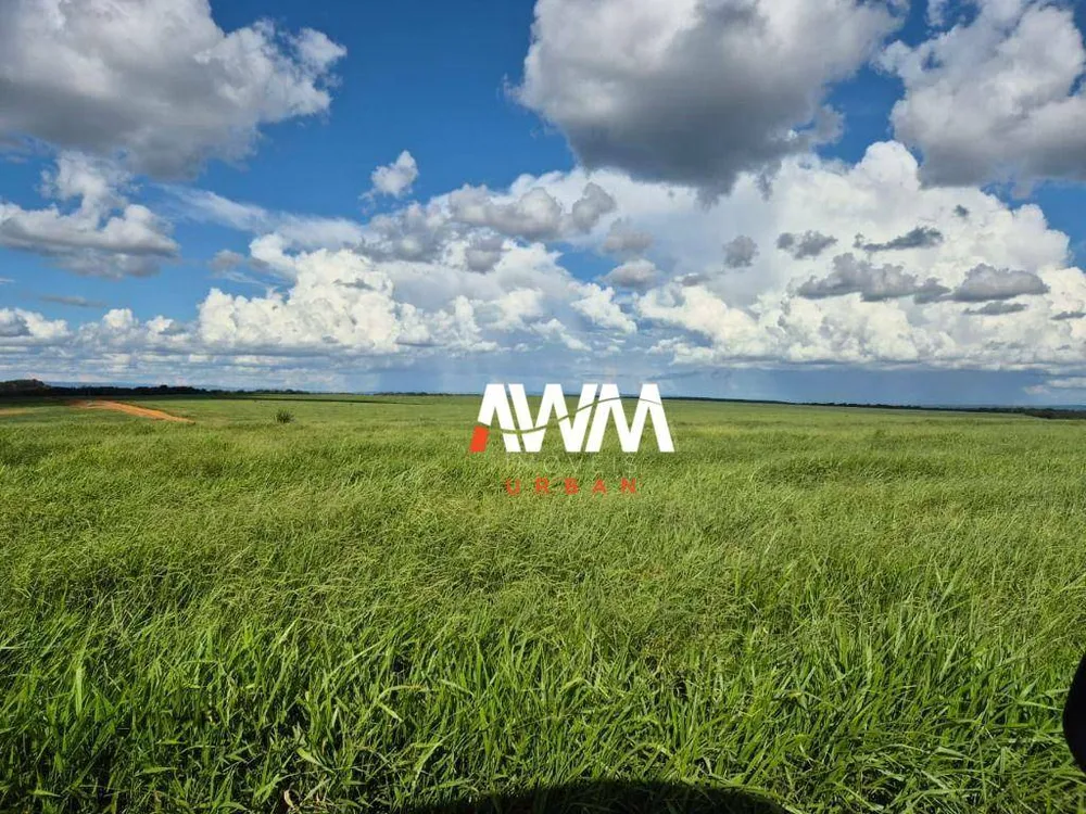 Fazenda, 4365 hectares - Foto 4