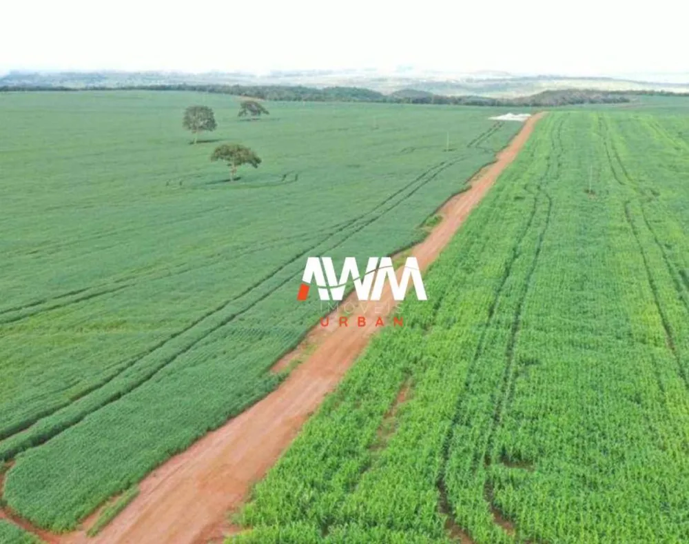 Fazenda, 4365 hectares - Foto 3