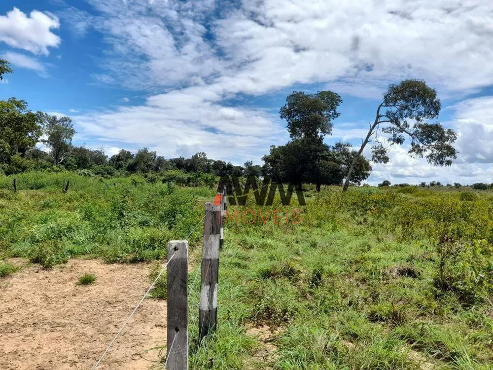 Fazenda, 760 hectares - Foto 11