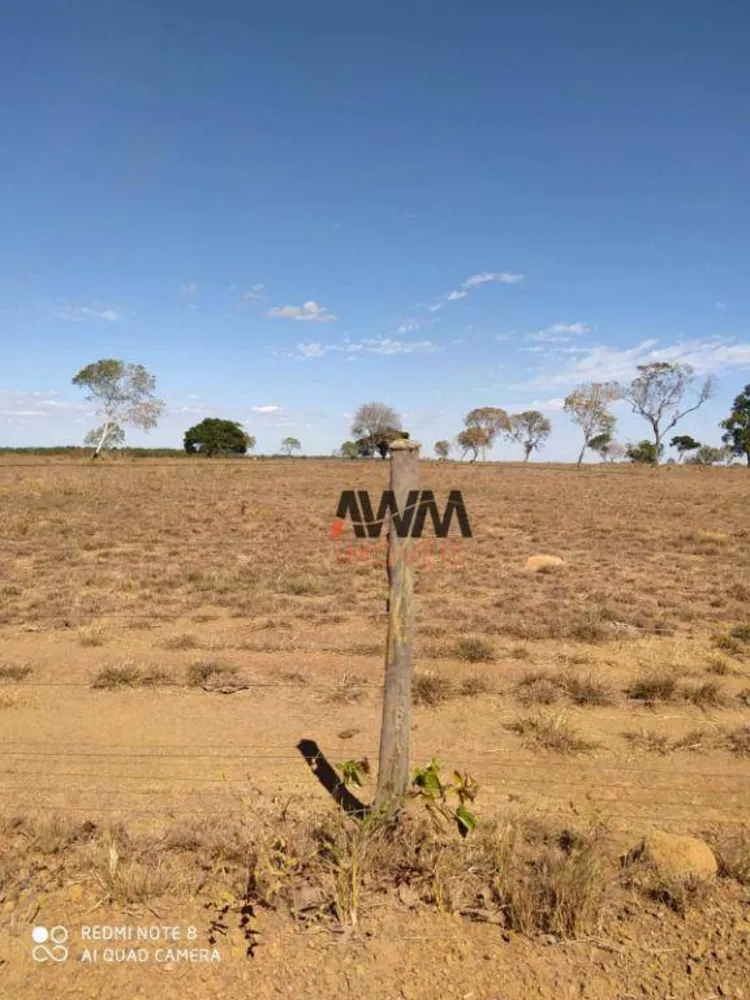 Fazenda, 2226 hectares - Foto 6