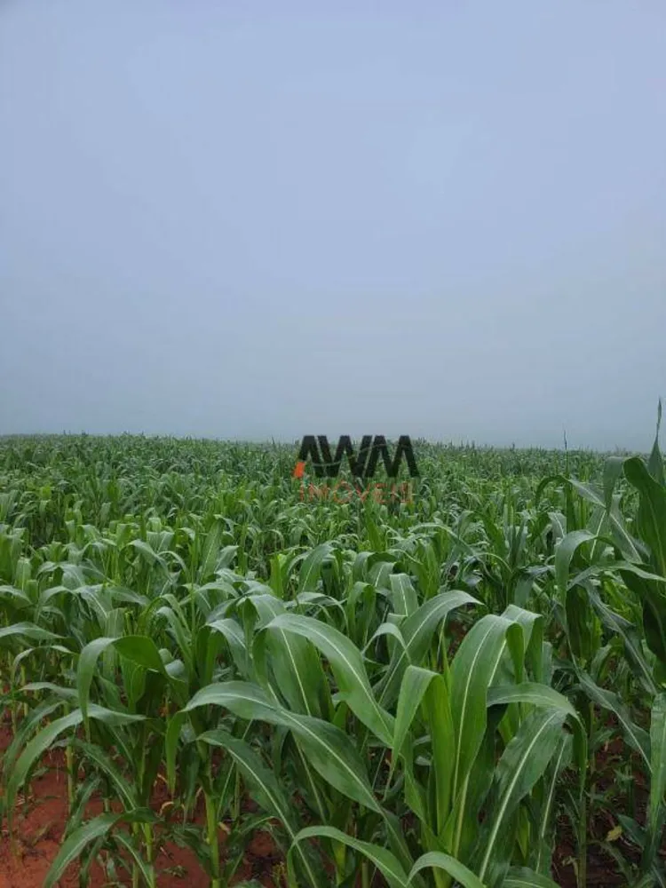 Fazenda, 2226 hectares - Foto 12