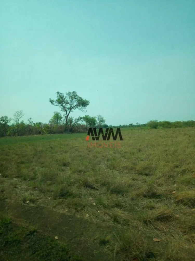 Fazenda, 7200 hectares - Foto 3