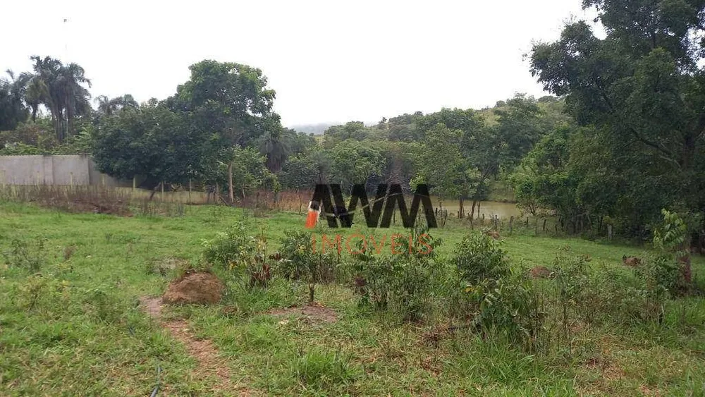 Fazenda, 116 hectares - Foto 8